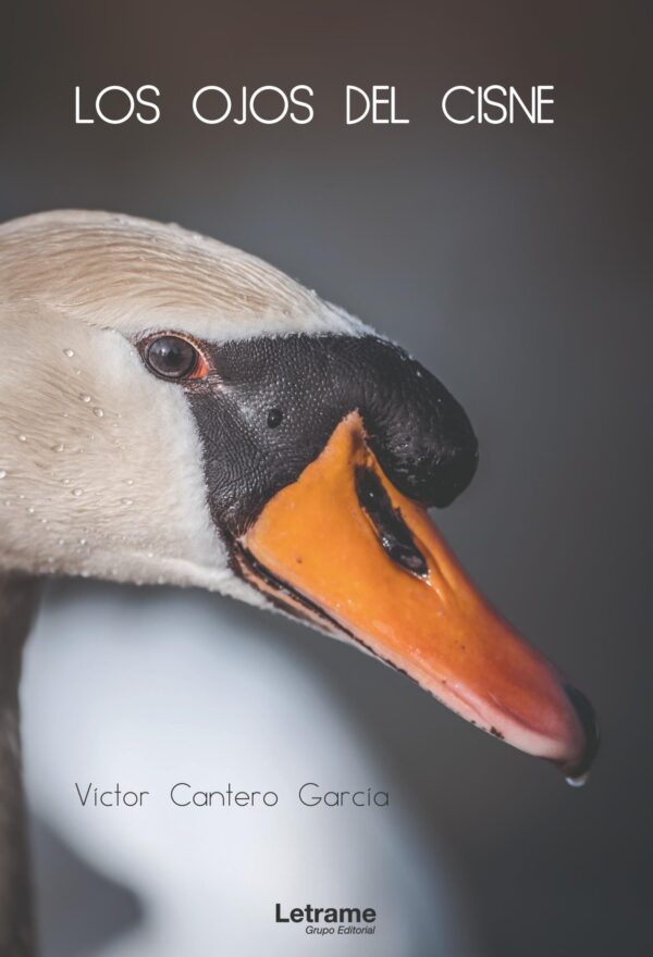 Los ojos del cisne