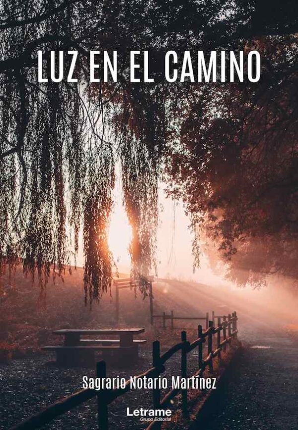 Luz en el camino