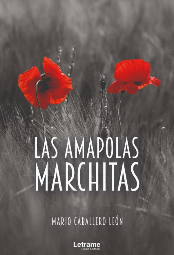Las amapolas marchitas
