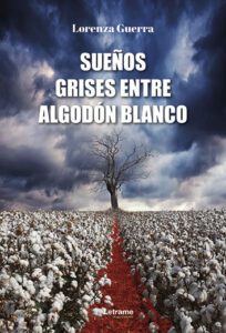 Sueños grises entre algodón blanco