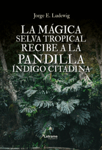 La mágica selva tropical recibe a la pandilla Índigo Citadina
