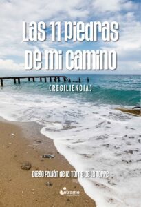 Las 11 piedras de mi camino