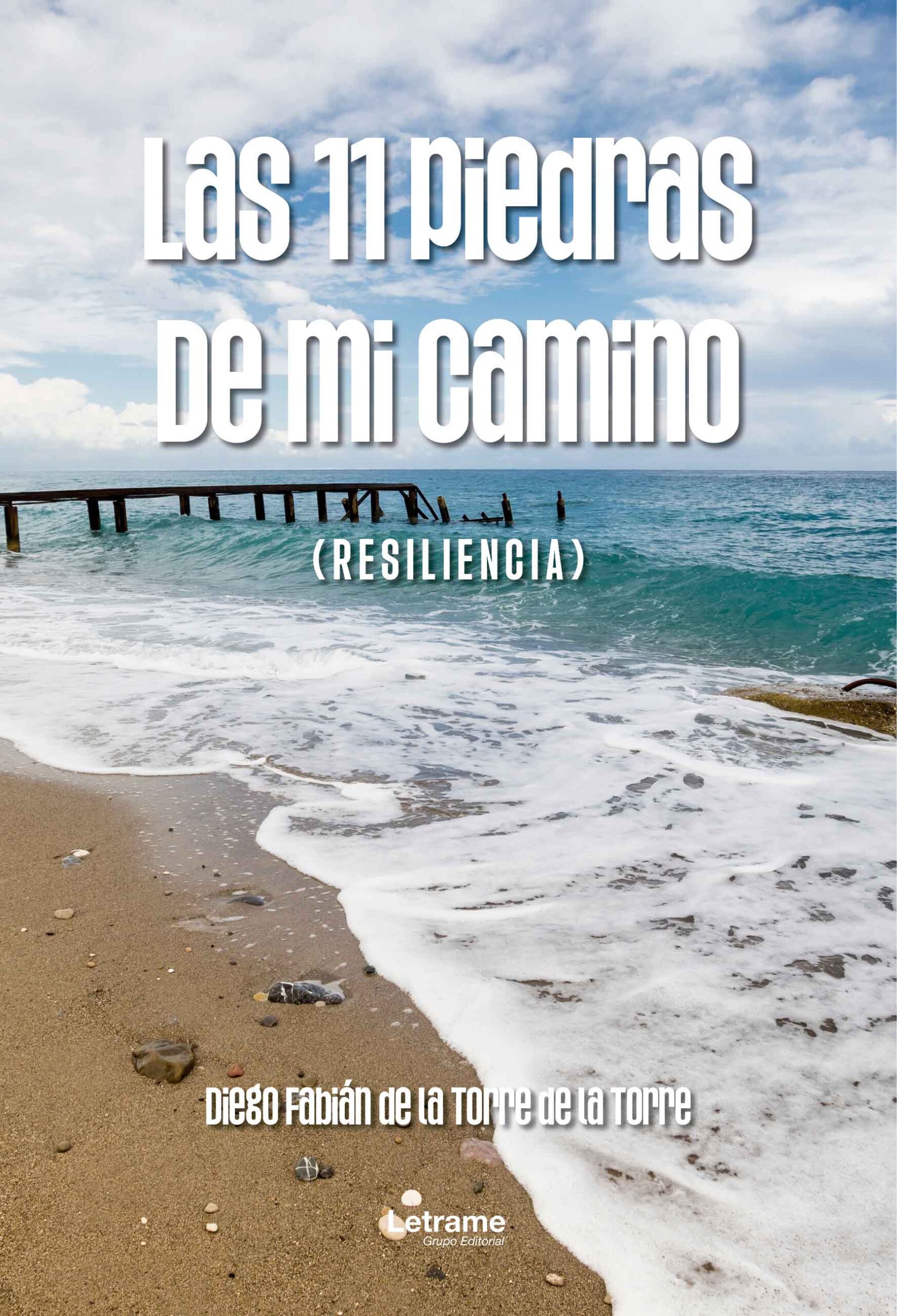 Las 11 piedras de mi camino