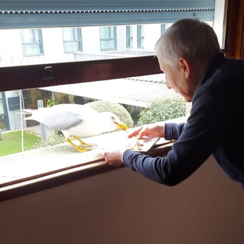 FOTOGRAFÍA CONTRAPORTADA